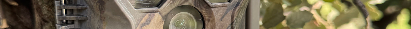 Cámaras de Fototrampeo: Ojos invisibles en la naturaleza.
