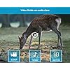 Cámara fototrampeo GARDEPRO E5 S