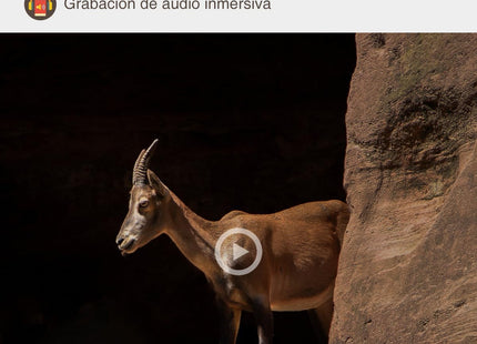Cámara fototrampeo GARDEPRO E5