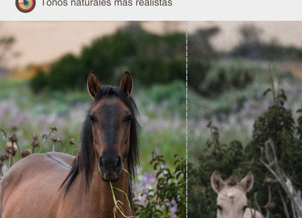 Cámara fototrampeo GARDEPRO E5