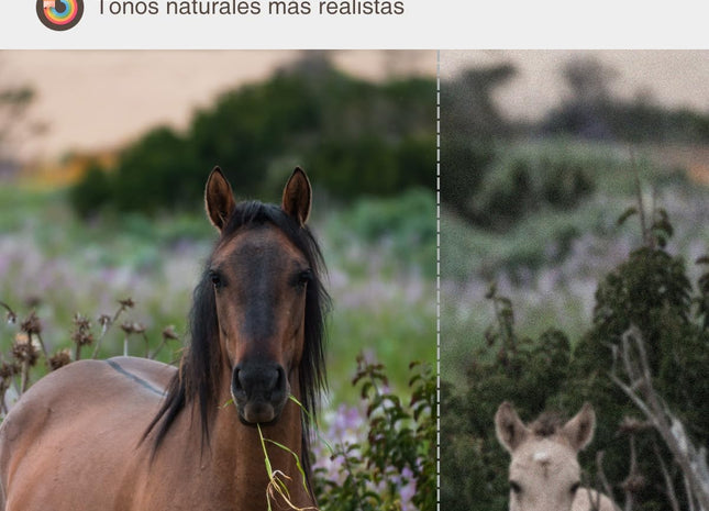 Cámara fototrampeo GARDEPRO E5