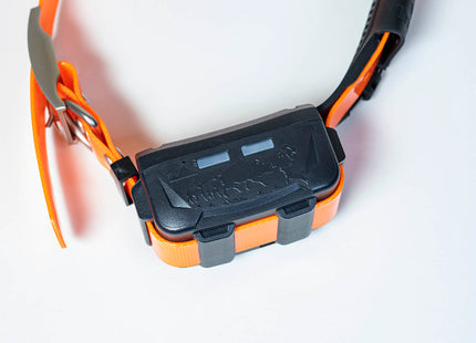 Collar GPS eSEEK GD03