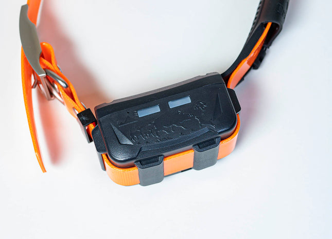 Collar GPS eSEEK GD03