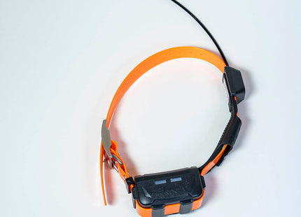Collar GPS eSEEK GD03