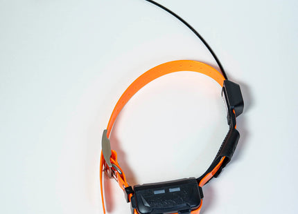 Collar GPS eSEEK GD03