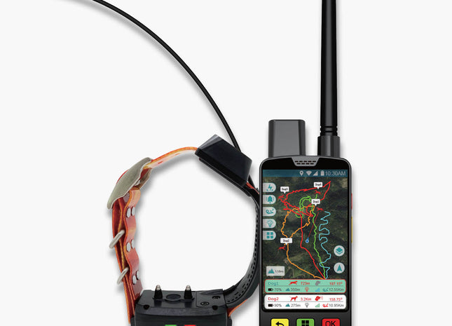 Mando + collar GPS eSEEK GD03